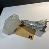 One (1) LIVE Gachapon Spin