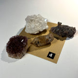 One (1) LIVE Gachapon Spin