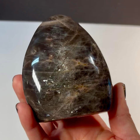 Chatoyant Black Moonstone Polished/Standing Freeform