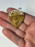 Palm Root Fossil Guitar Picks