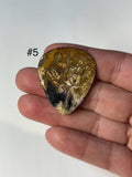 Palm Root Fossil Guitar Picks