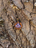 Tiffany Stone Butternut Pendant Necklace