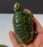 Large Green Jade Turtle