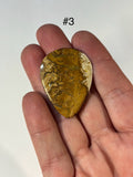 Palm Root Fossil Guitar Picks