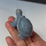 Angelite Turtle