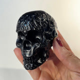 Large Carved/Detailed Skulls!