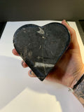 Orthoceras/Fossil Heart-Shaped Trinket Box